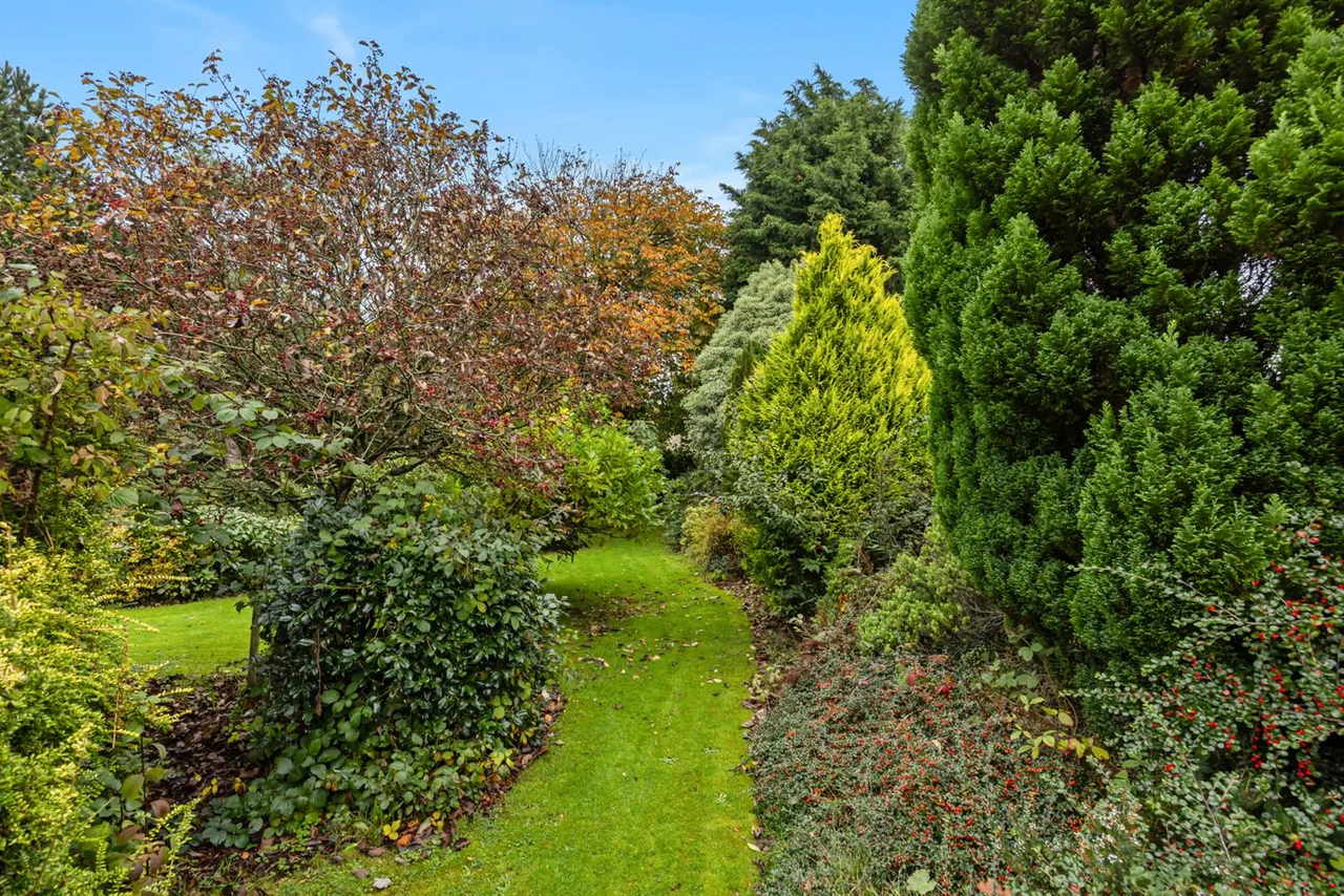 Dromore Road, Ballynahinch, BT24, photo 46