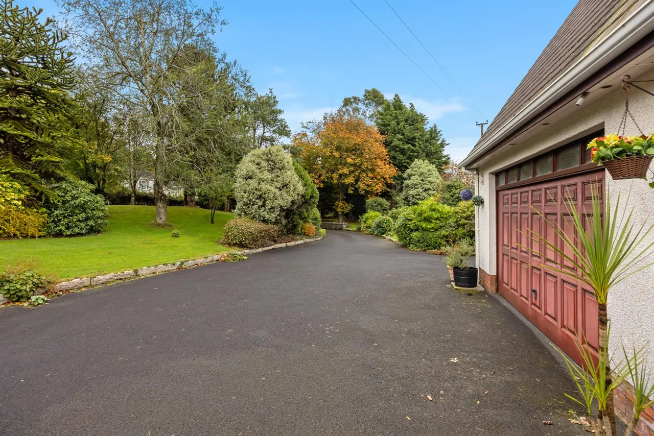 Dromore Road, Ballynahinch, BT24, photo 34