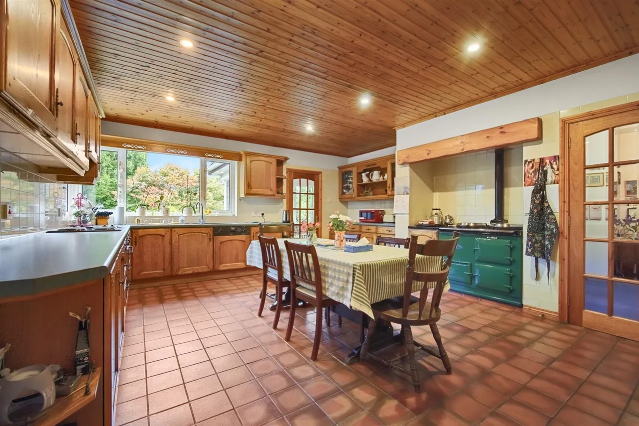 Dromore Road, Ballynahinch, BT24, photo 11