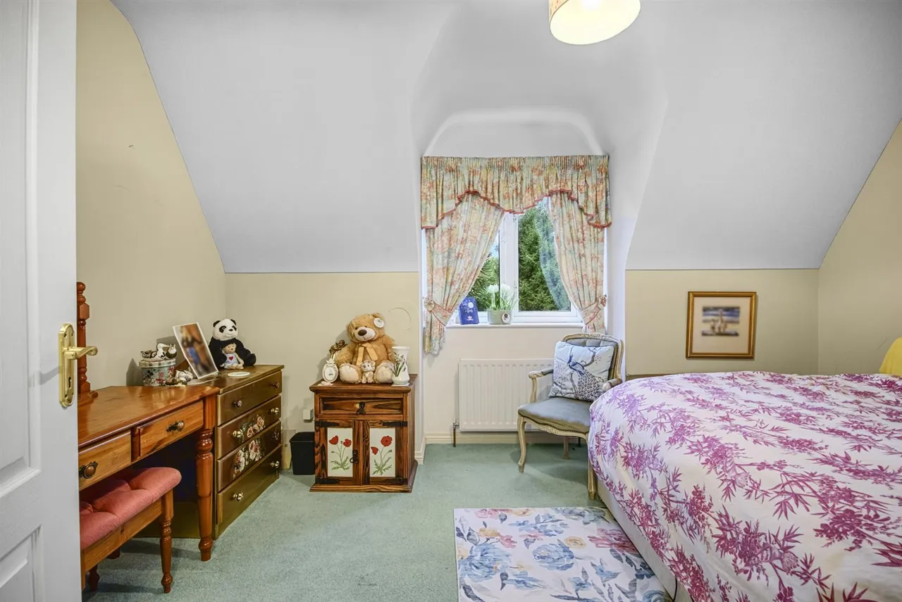 Dromore Road, Ballynahinch, BT24, photo 30