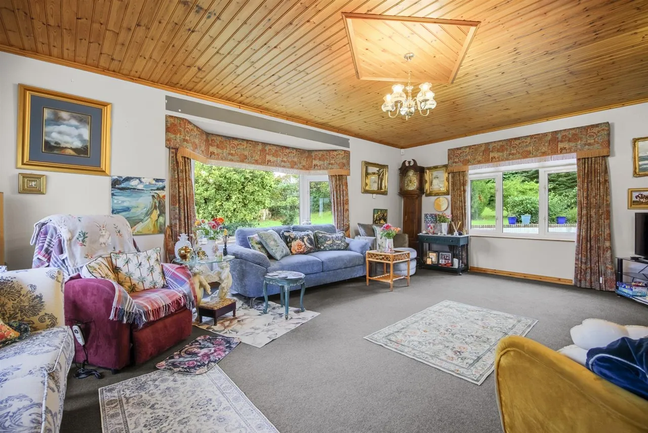Dromore Road, Ballynahinch, BT24, photo 8
