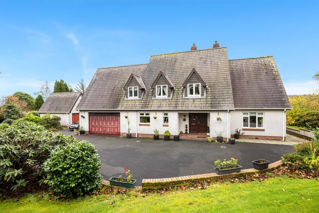 Dromore Road, Ballynahinch, BT24, photo 3