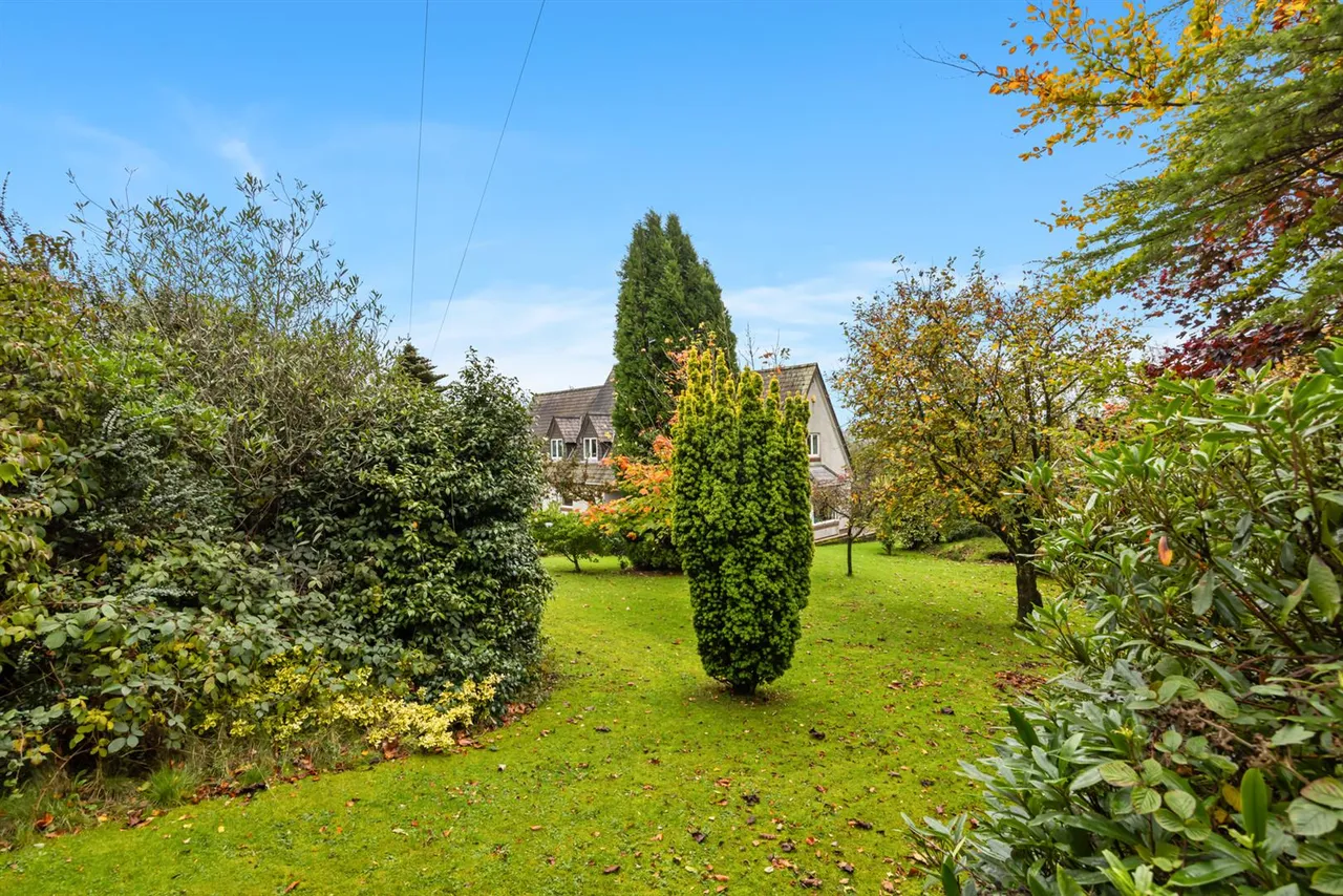Dromore Road, Ballynahinch, BT24, photo 36
