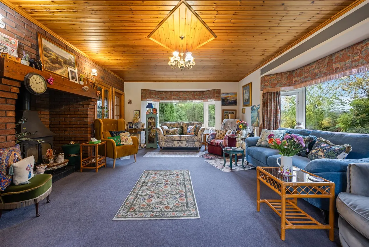 Dromore Road, Ballynahinch, BT24, photo 6