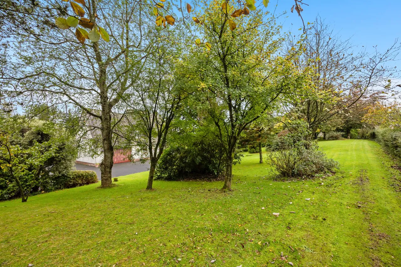 Dromore Road, Ballynahinch, BT24, photo 37
