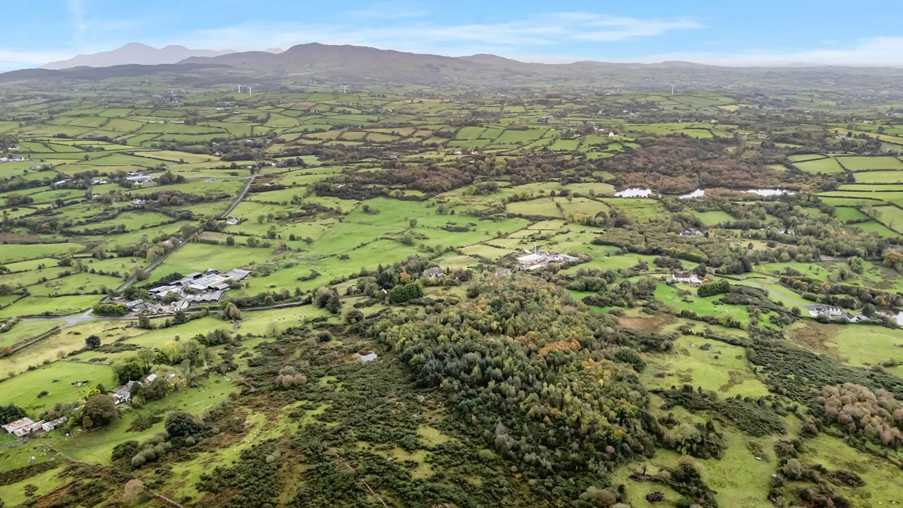 Dromore Road, Ballynahinch, BT24, photo 54