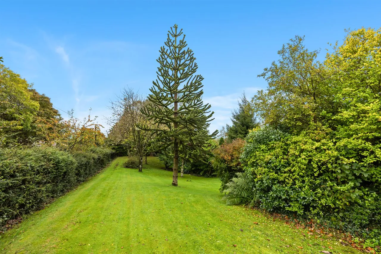 Dromore Road, Ballynahinch, BT24, photo 38