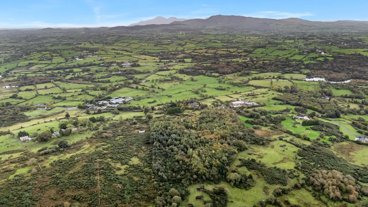 Dromore Road, Ballynahinch, BT24, photo 53