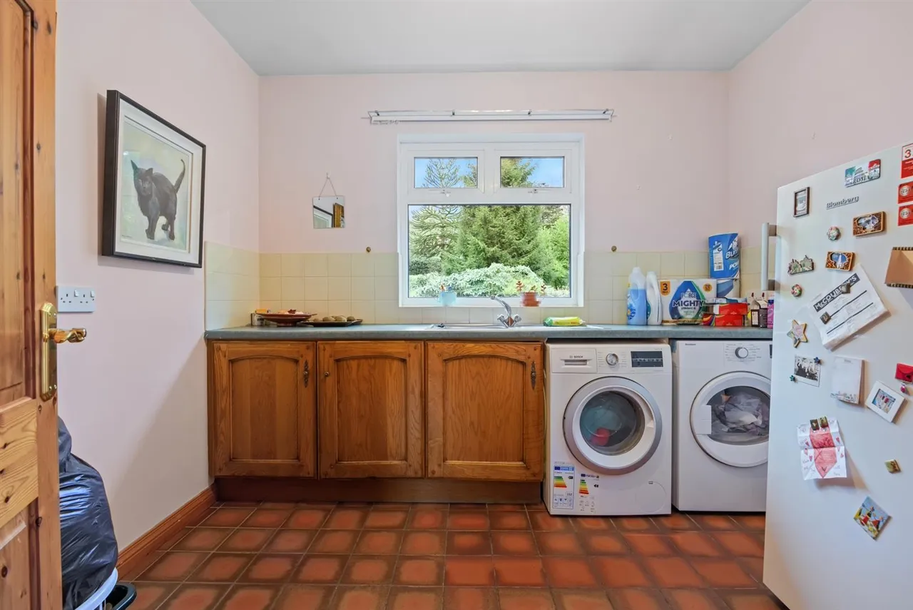 Dromore Road, Ballynahinch, BT24, photo 16