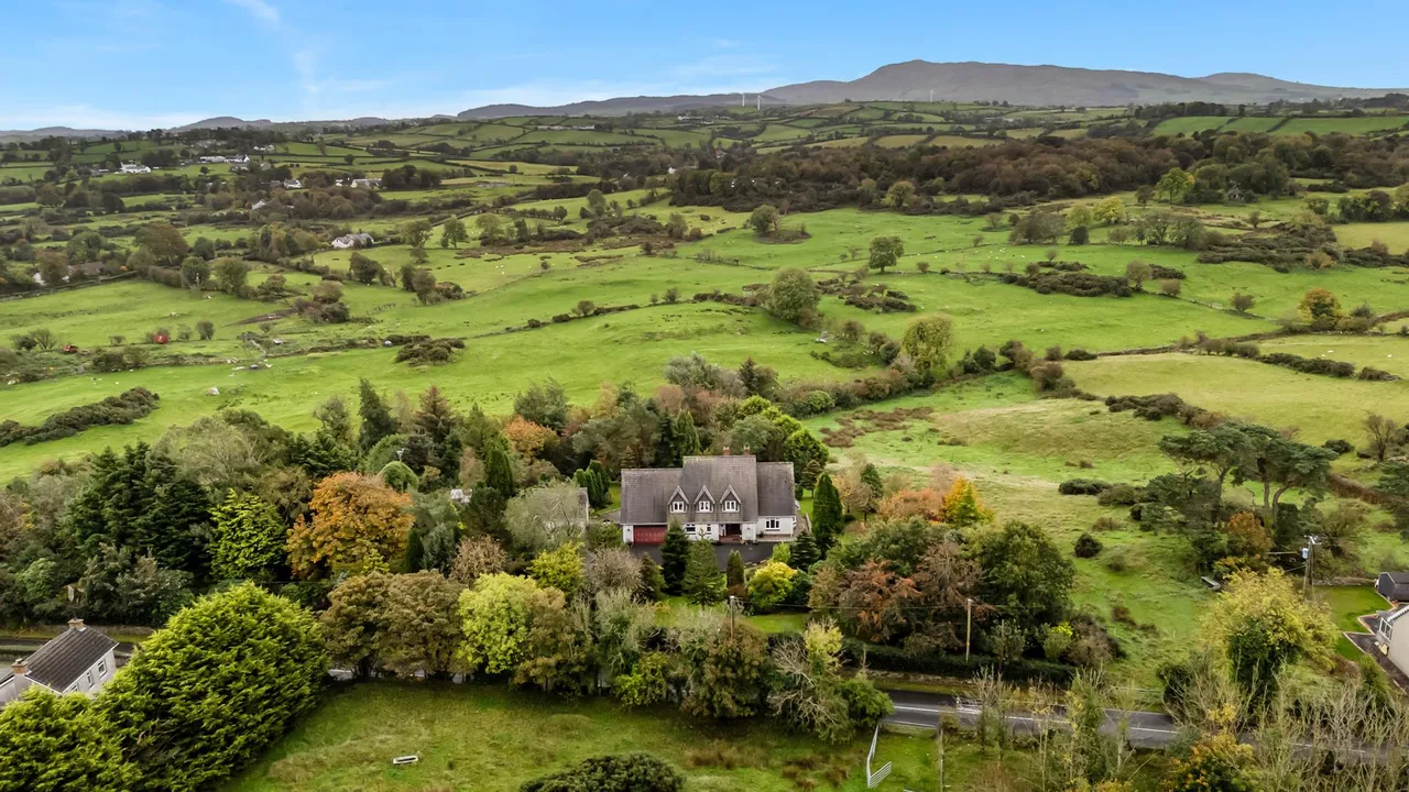 Dromore Road, Ballynahinch, BT24, photo 51