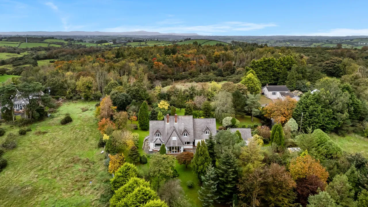 Dromore Road, Ballynahinch, BT24, photo 61
