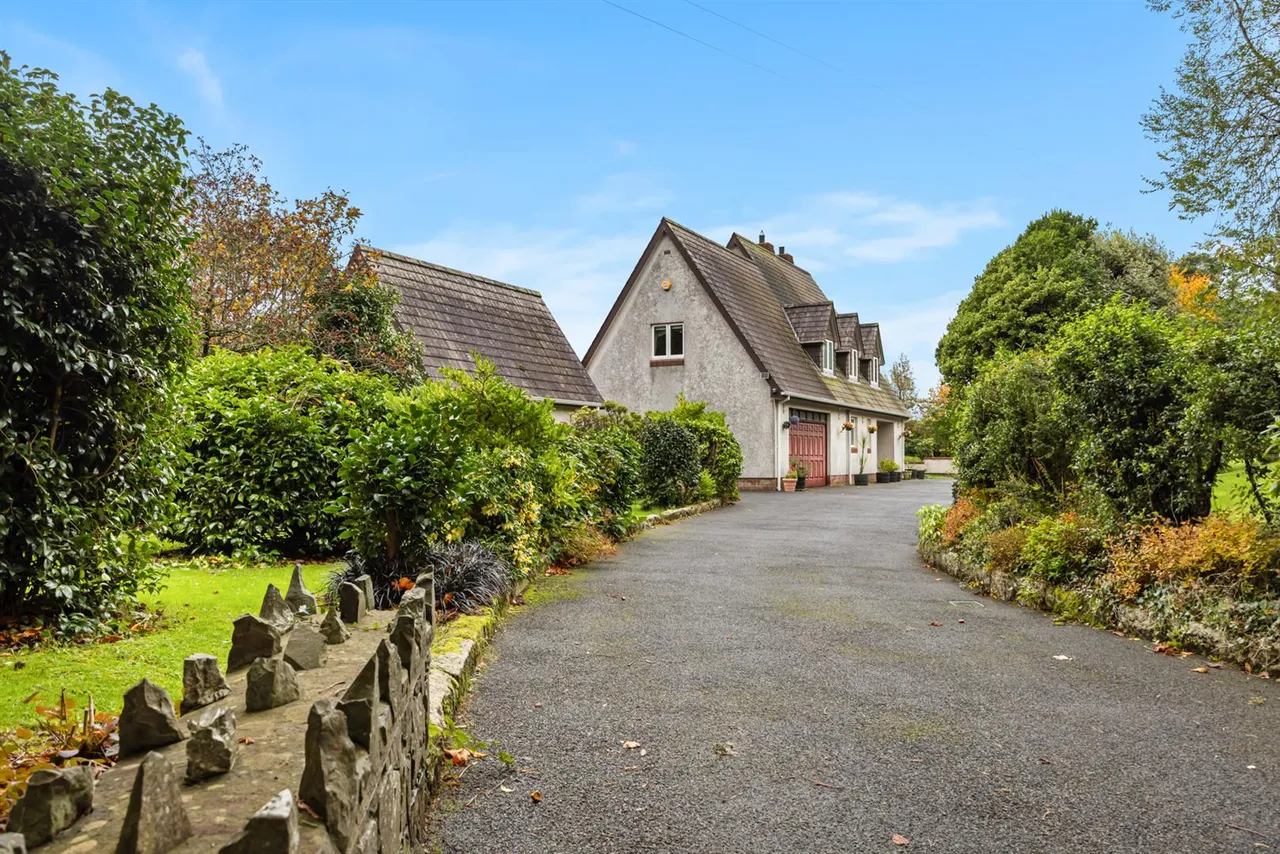 Dromore Road, Ballynahinch, BT24, photo 44
