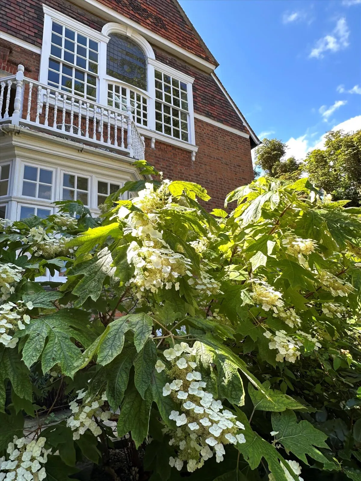 Newton Grove, London, W4, photo 17
