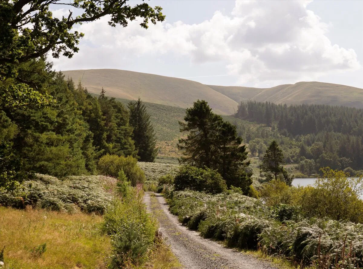 Eddleston, Peebles, EH45, photo 19