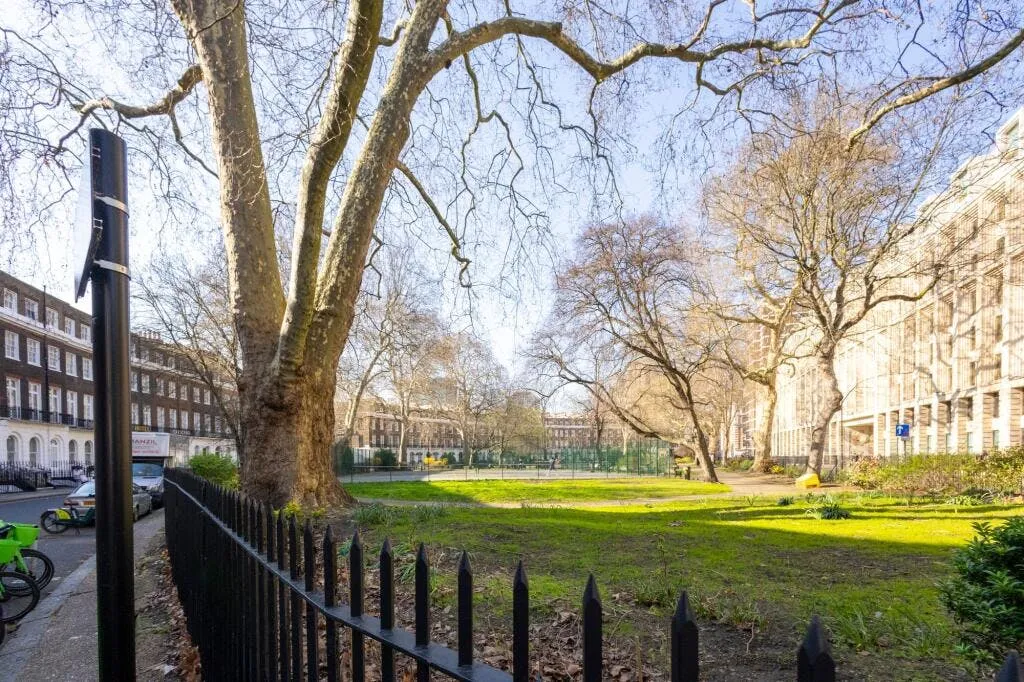Tavistock Place, Knollys House, WC1H, photo 11