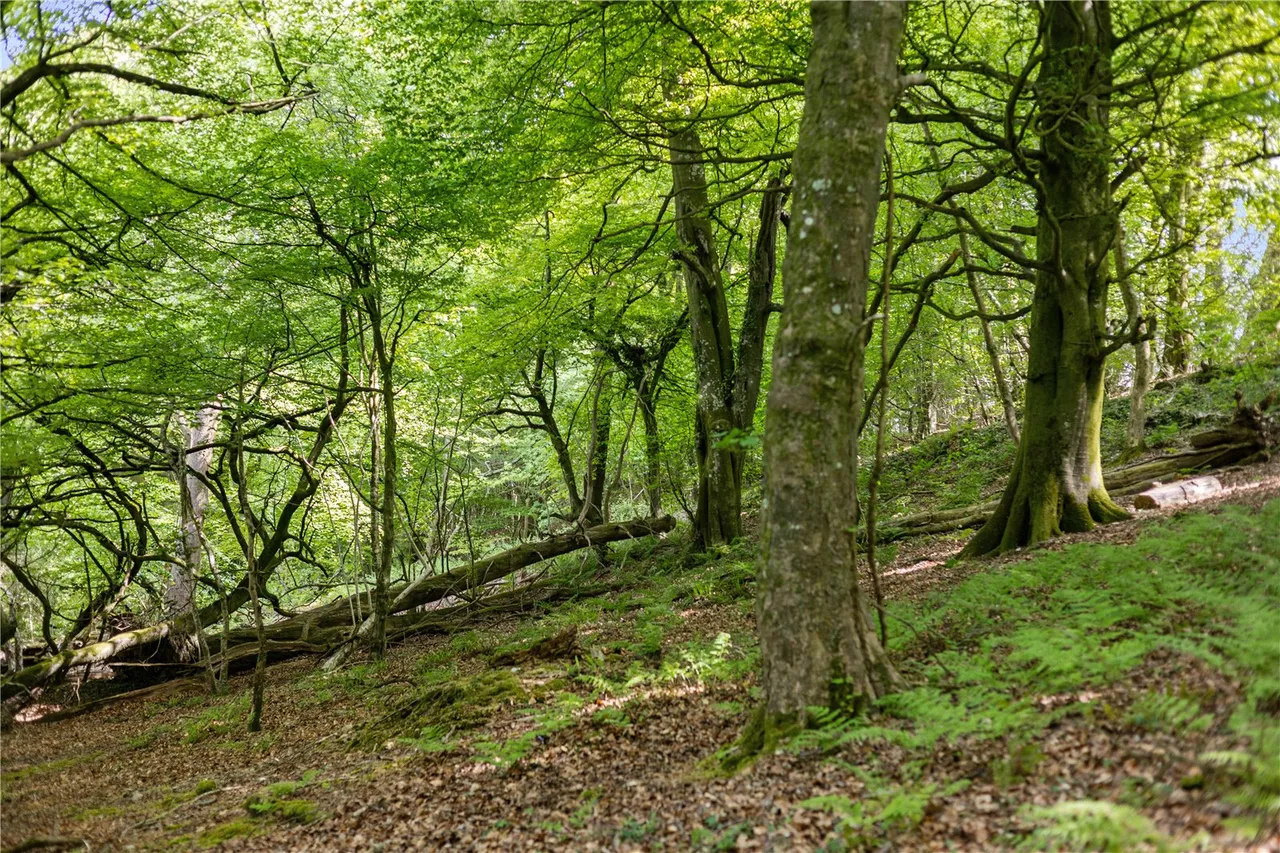 Pound Lane, Upottery, Honiton, Devon, EX14 9QB, photo 25