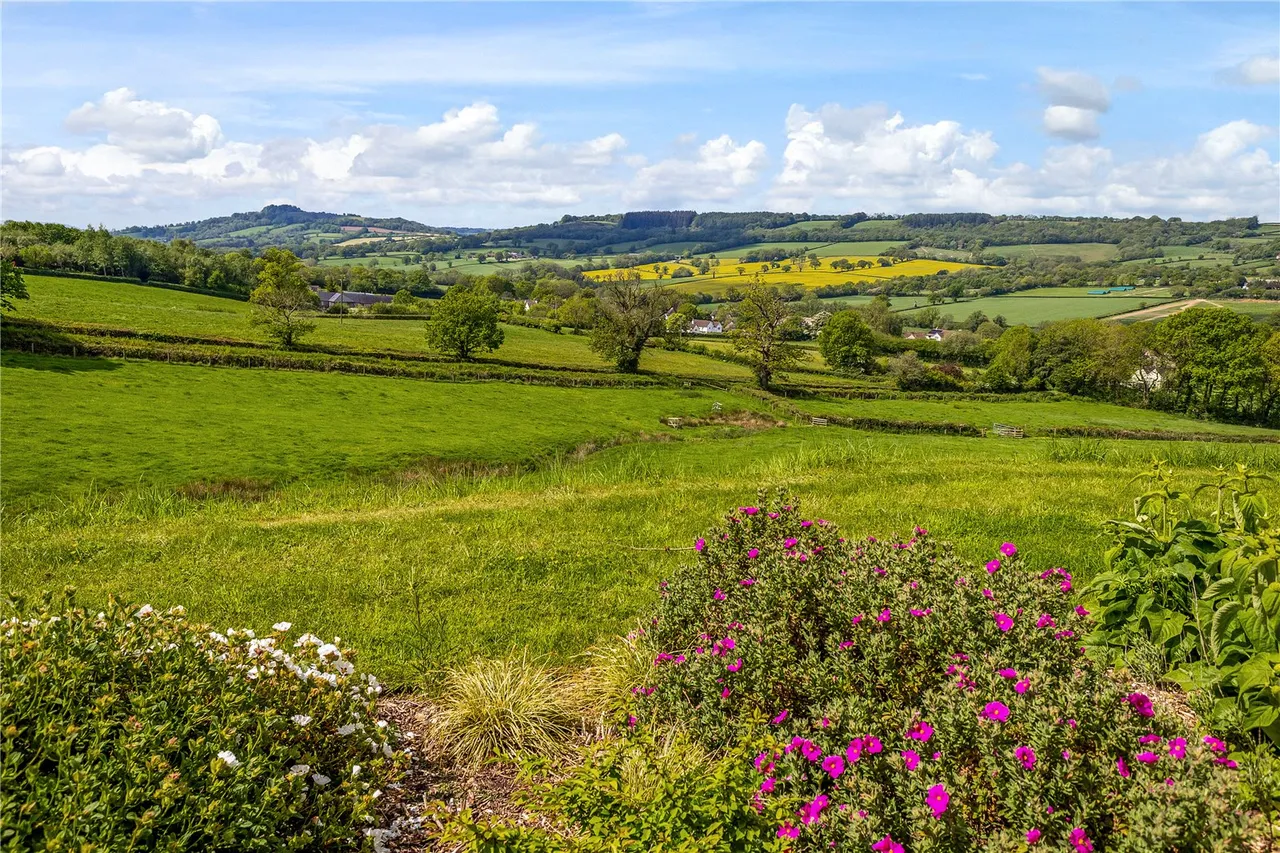 Pound Lane, Upottery, Honiton, Devon, EX14 9QB, photo 10