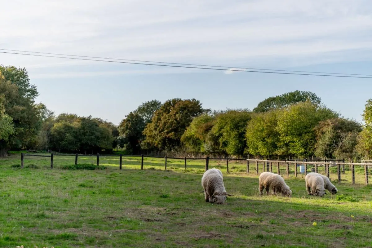London Street, Dereham, NR20, photo 25