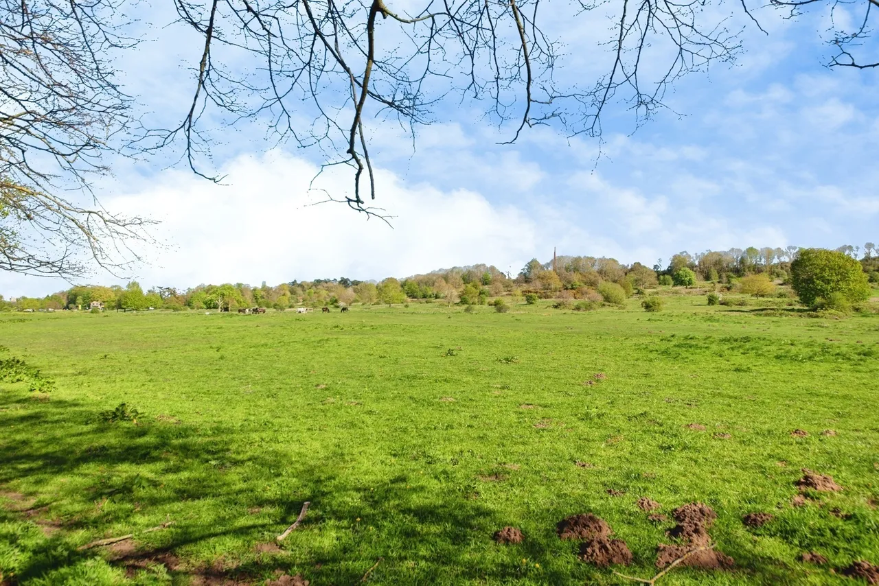South Park, Lincoln, Lincolnshire, LN5, photo 5