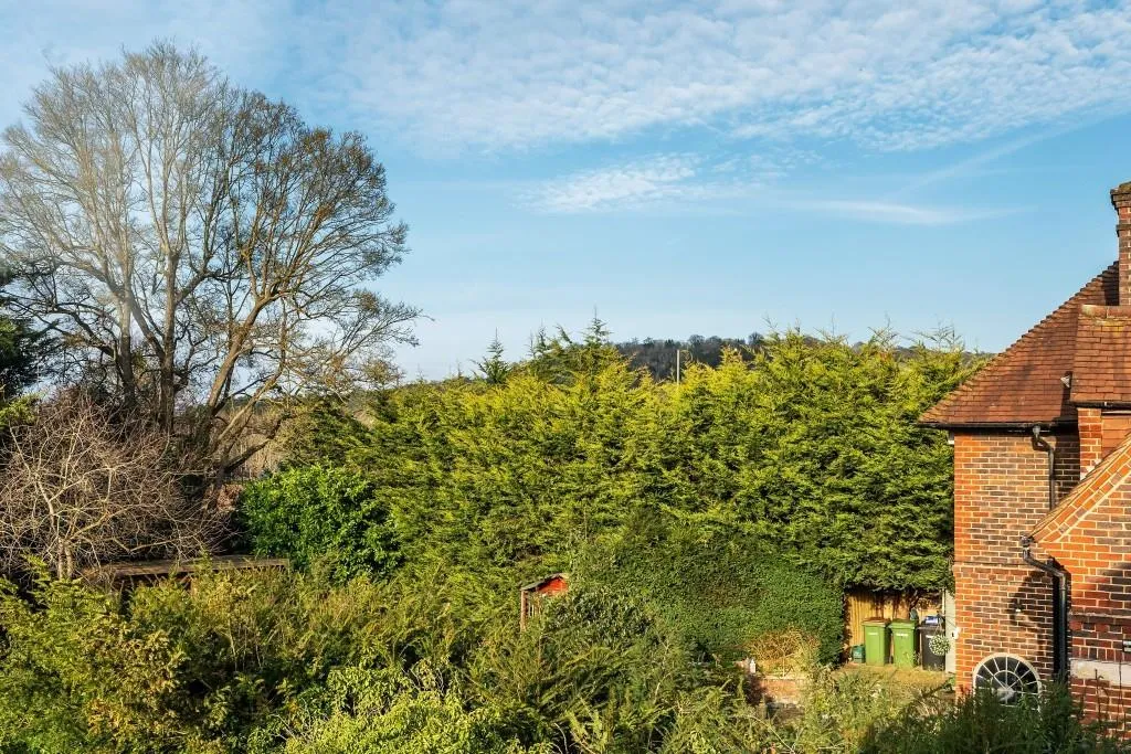 Croft Avenue, Dorking, RH4, photo 9