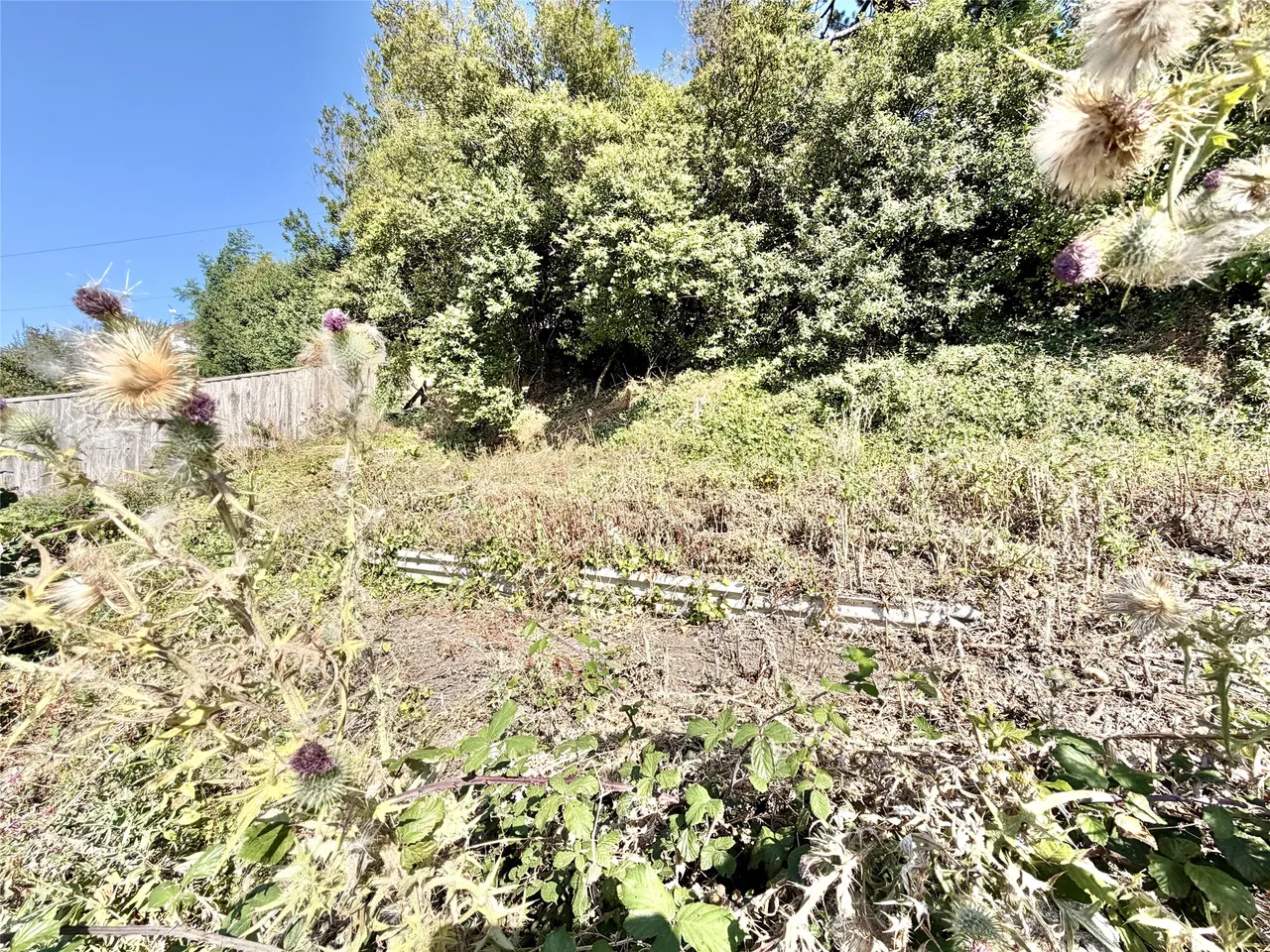 Abbotts Hill, Braunton, EX33, photo 15