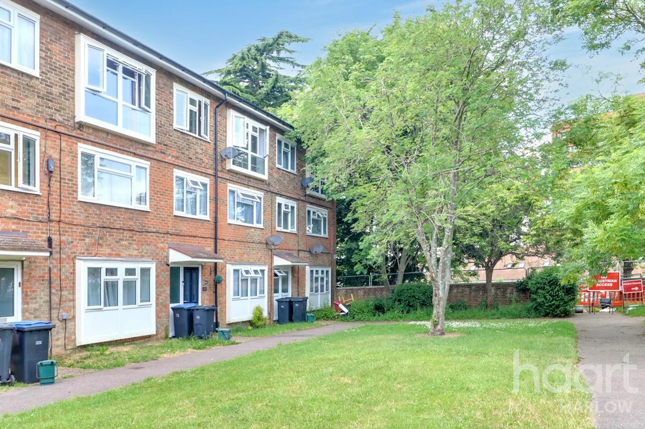 The Hides, Harlow, CM20, photo 10