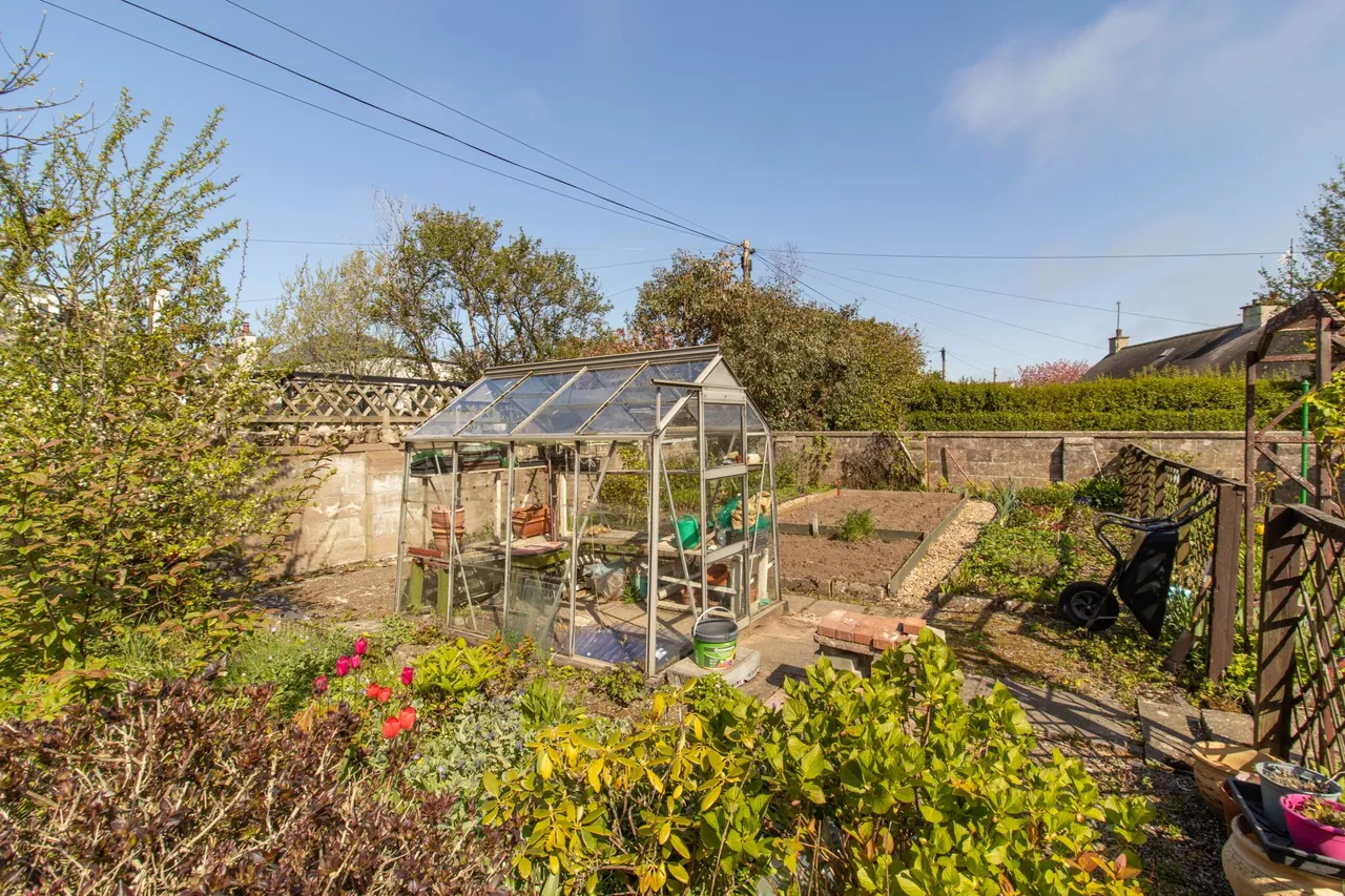 Caird Avenue, Montrose, DD10, photo 38