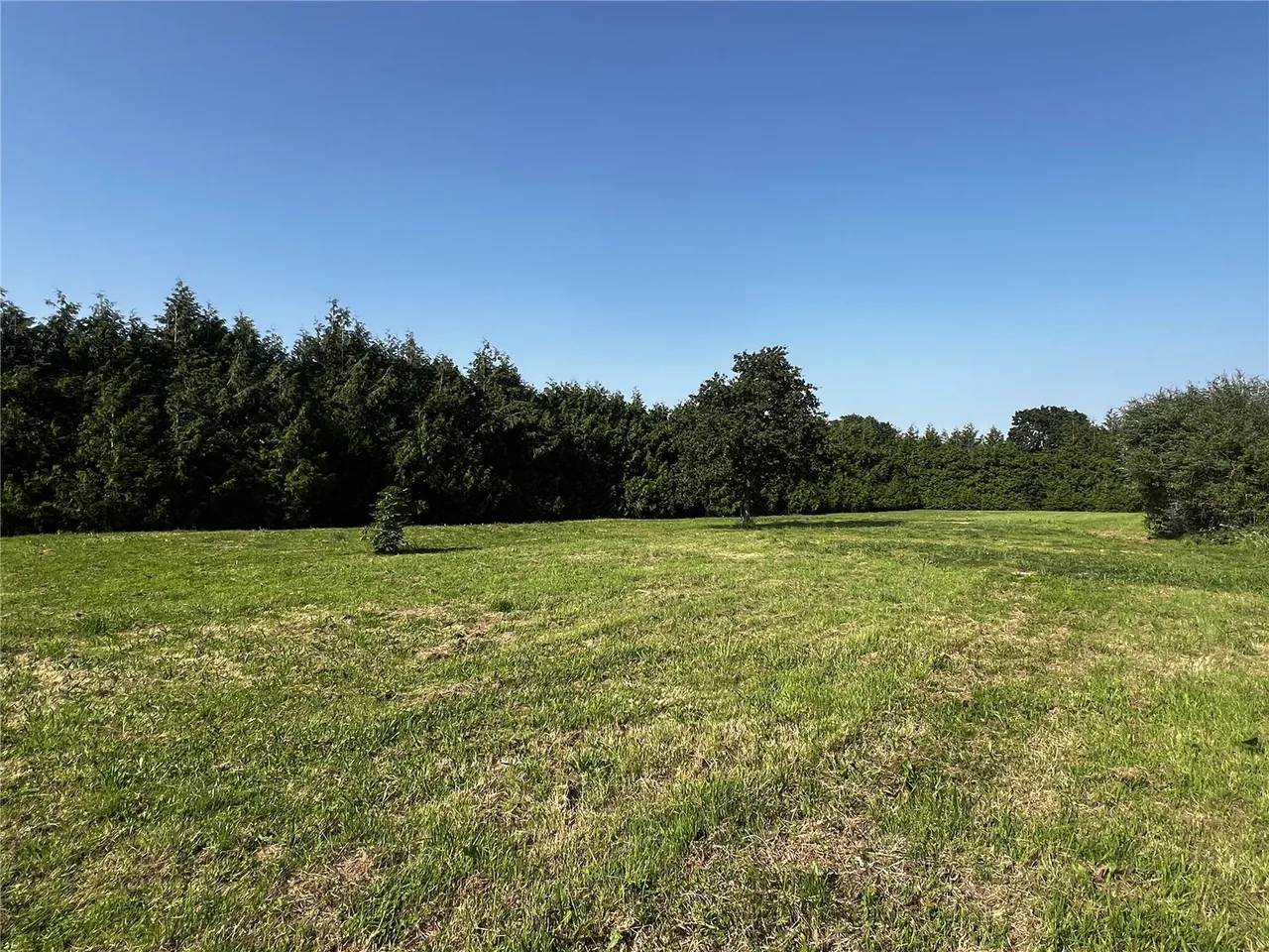 Pitmore Lane, Pennington, Lymington, Hampshire, SO41 8LL, photo 4