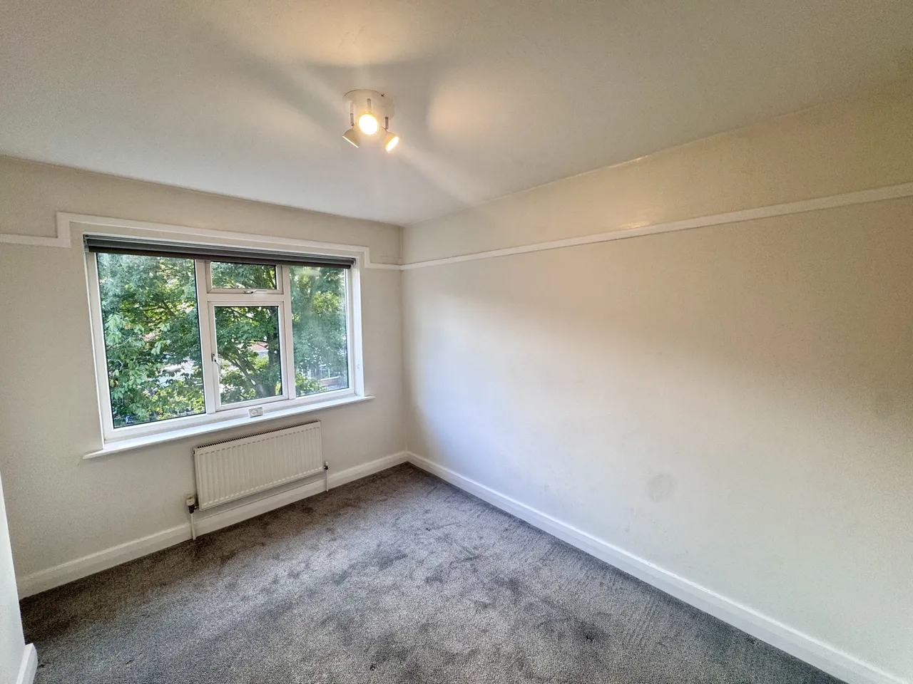 Sherwood Avenue, Sherwood, NG5, photo 9