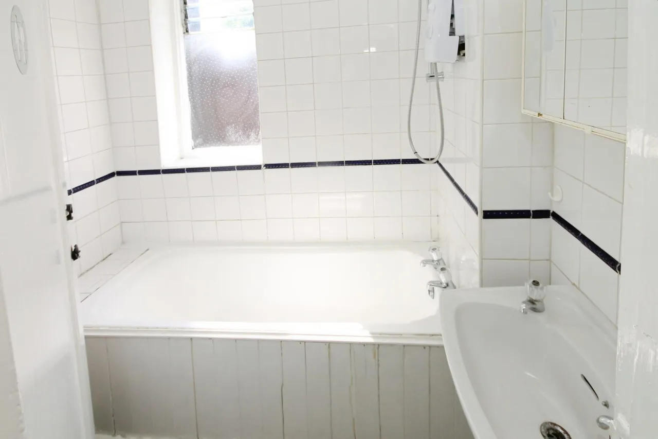 Balmoral Road, Woodhouse, S13, photo 5