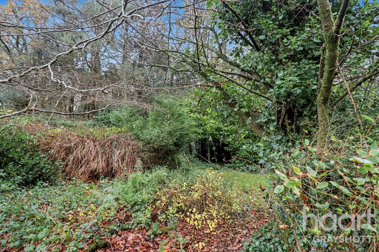 Tyndalls, Hindhead, GU26, photo 5
