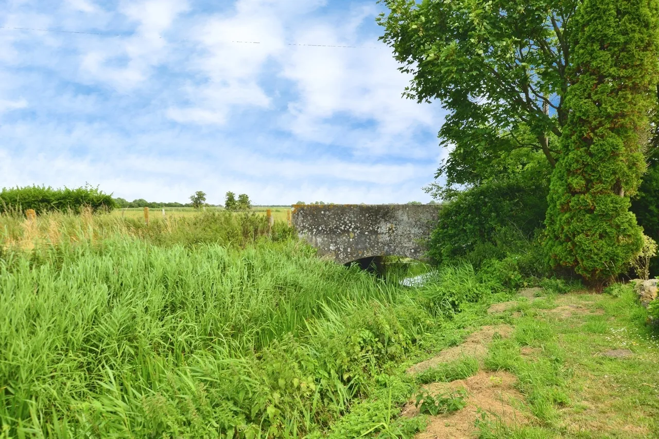 Snargate, Romney Marsh, TN29, photo 12