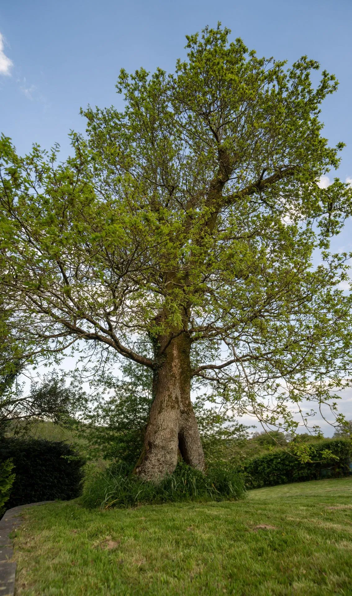 Ty'r Felin, Felingwm Uchaf, SA32, photo 41
