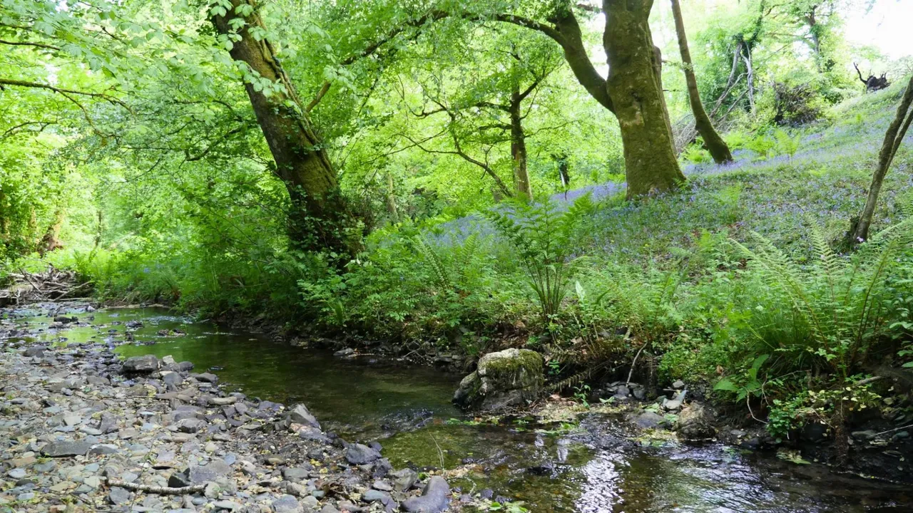 Ty'r Felin, Felingwm Uchaf, SA32, photo 45