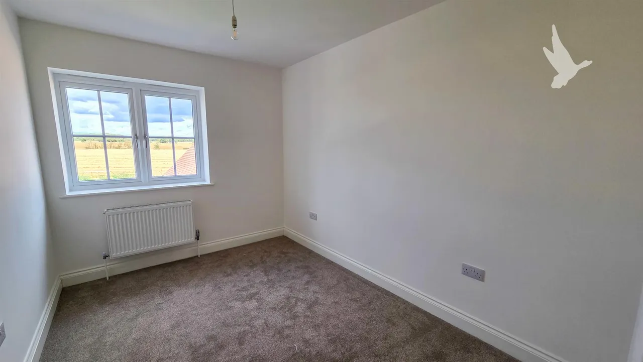 Stebbing Green Road, Stebbing, Dunmow, CM6 3ZB, photo 9