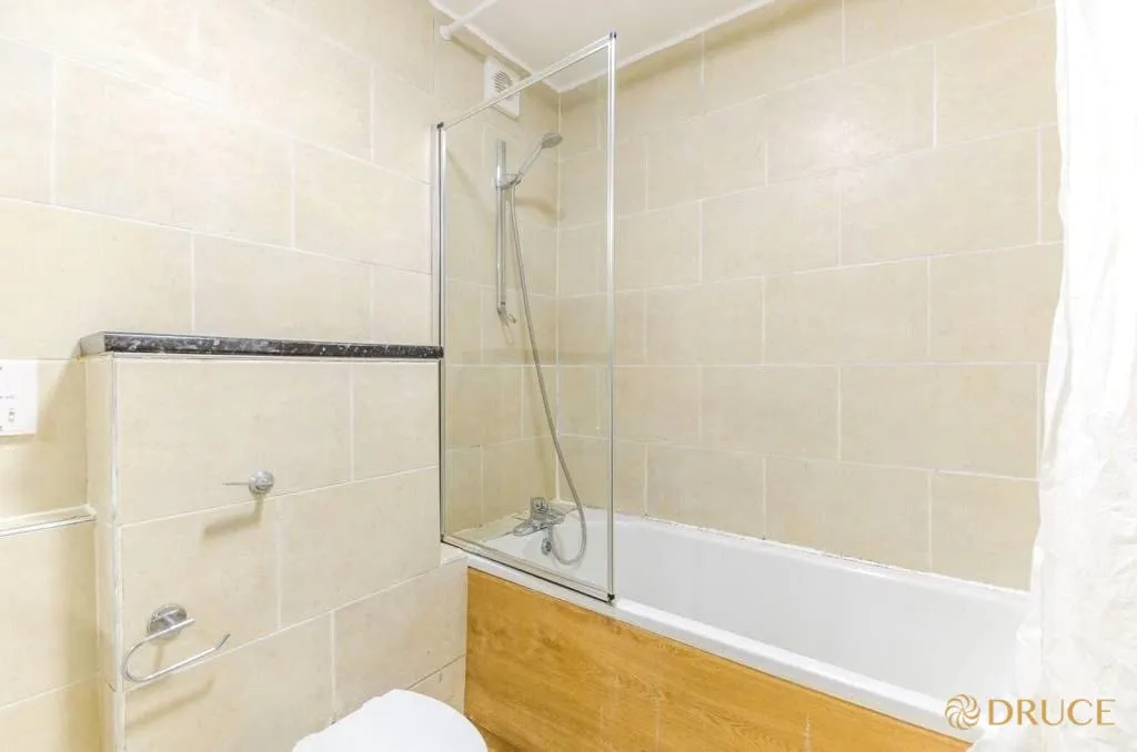 Parkgate Road, Battersea Park, SW11, photo 5