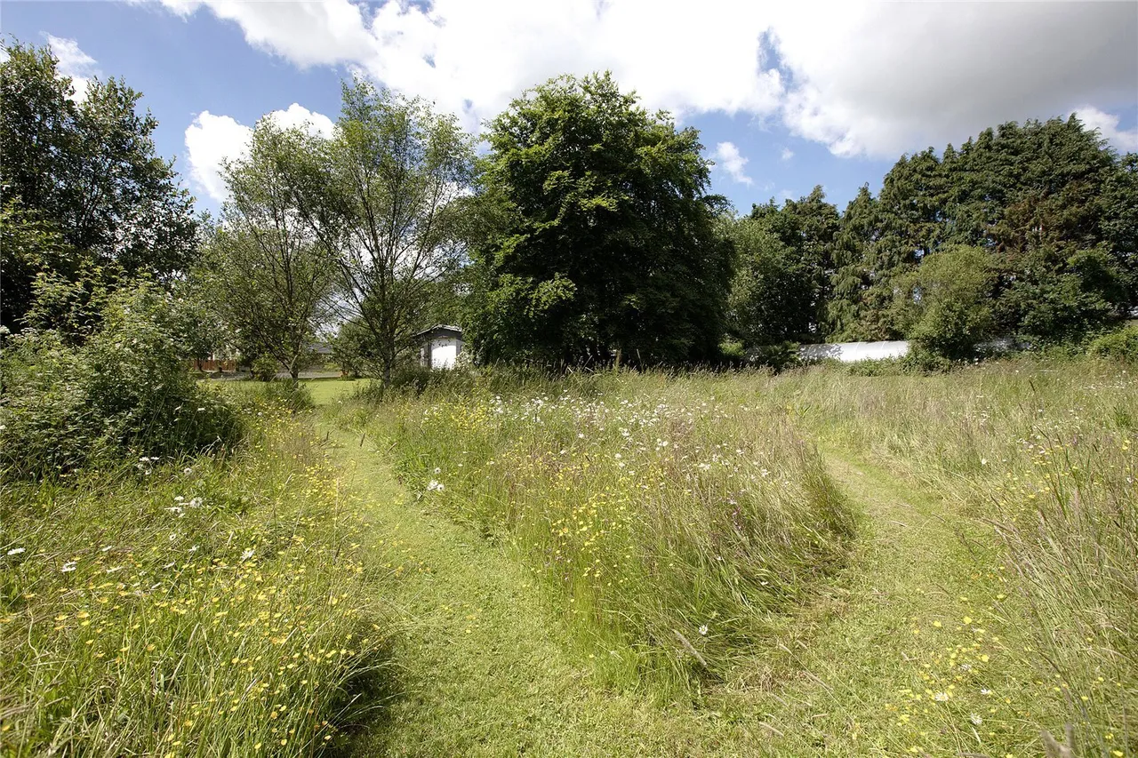 Morchard Bishop, Crediton, EX17, photo 3