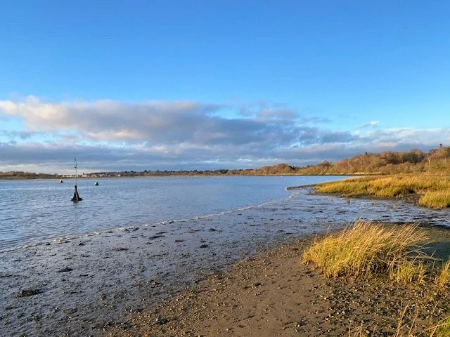 Walter Radcliffe Road, Wivenhoe, CO7, photo 21