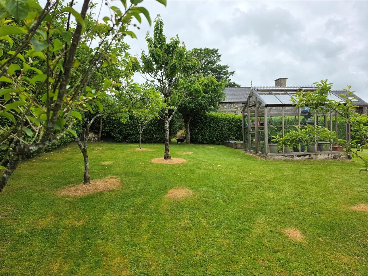 Llangybi, Pwllheli, LL53, photo 22