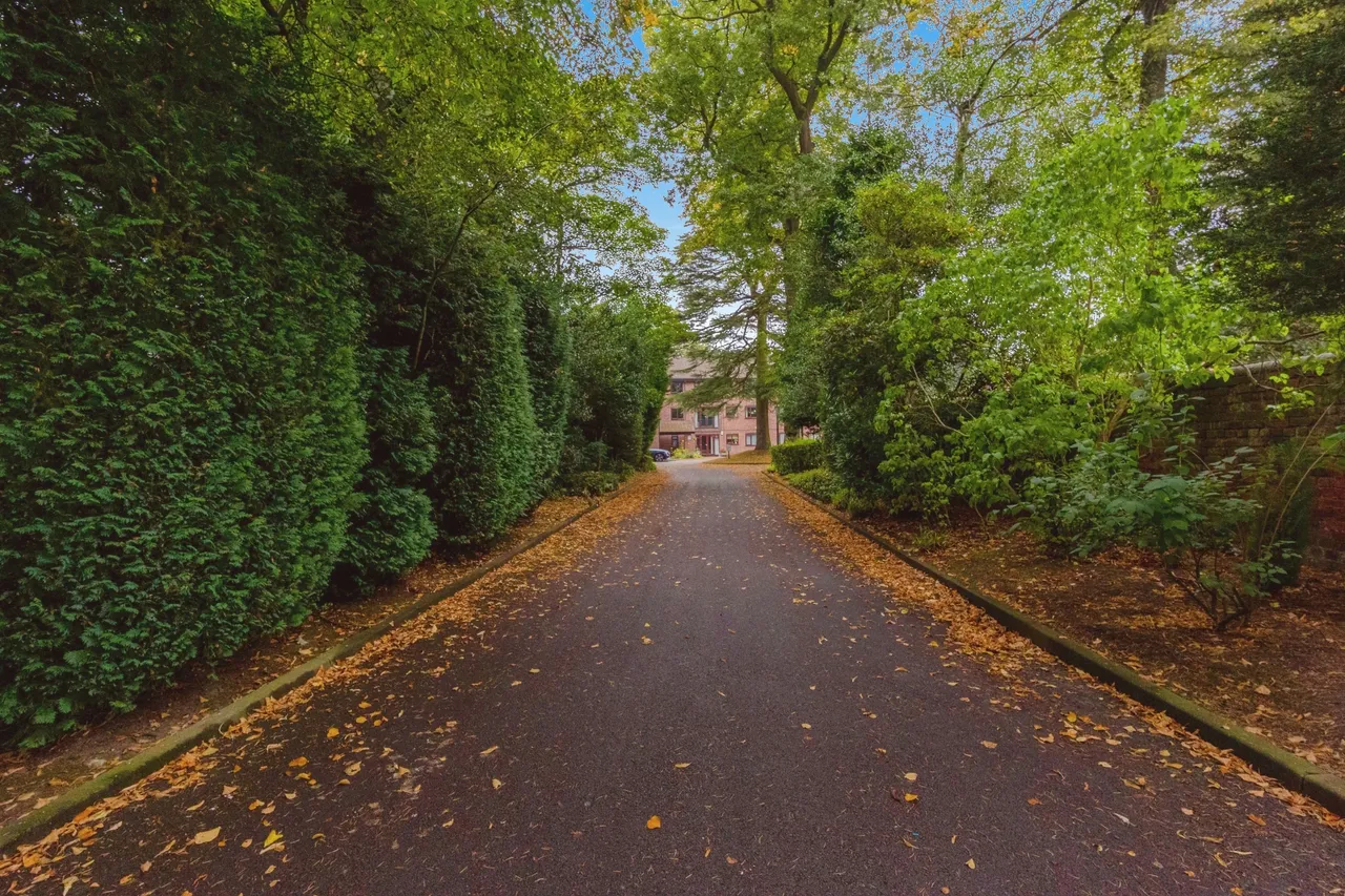 Beechfield Road, Stockport, Greater Manchester, SK3, photo 11