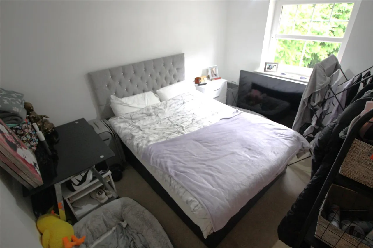 Common Alder Way, Manchester, M9 7GP, photo 10