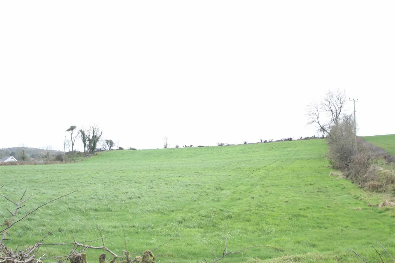 Crossgar Road, Dromara, BT25, photo 12