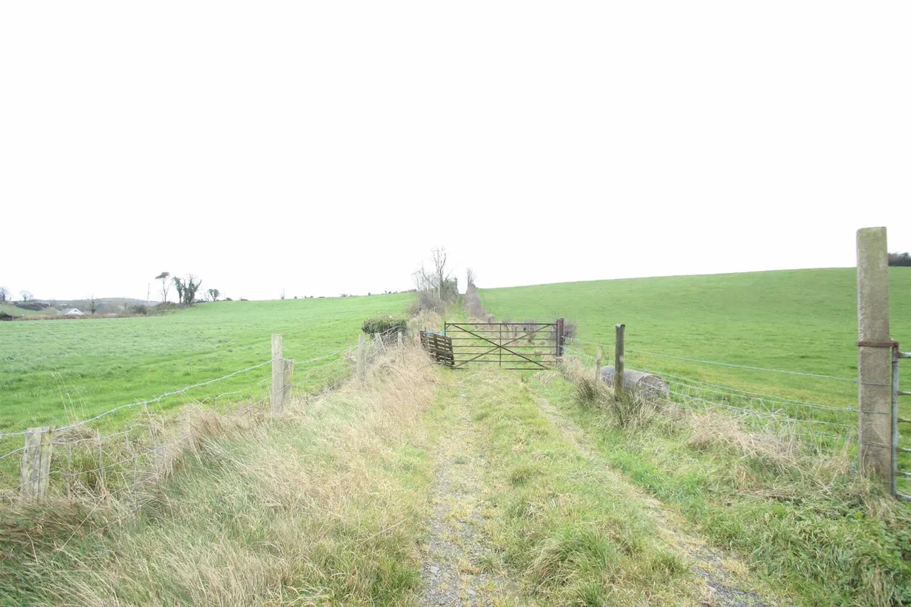 Crossgar Road, Dromara, BT25, photo 7