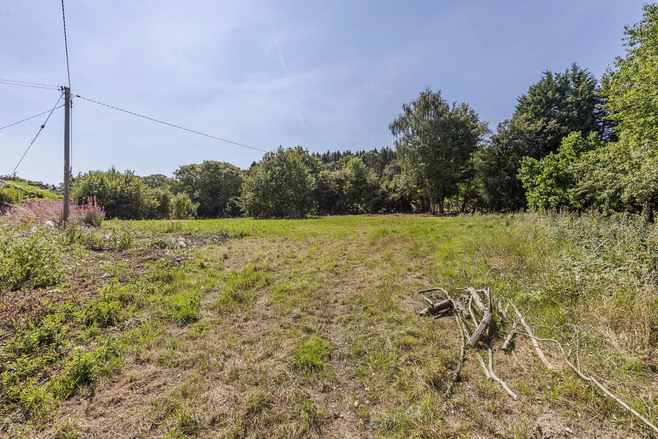 Cotebrook, Tarporley, photo 30