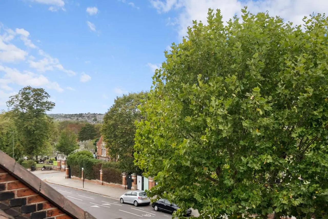 Magdalen Road, London, SW18, photo 11