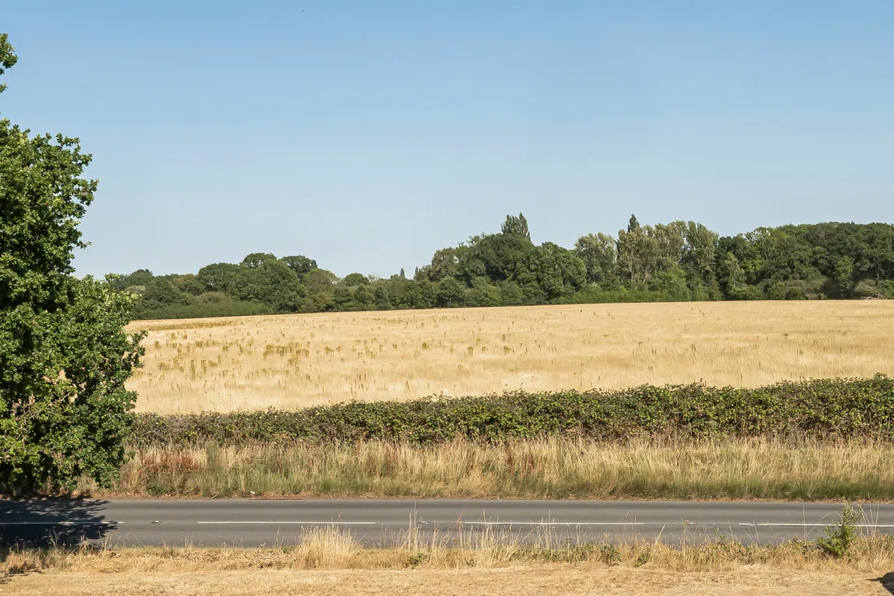 Walden Cottages, Normandy, GU3, photo 2