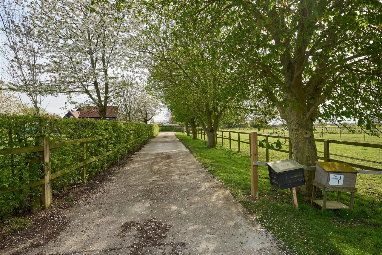 Cranley Road, Eye, IP23, photo 19