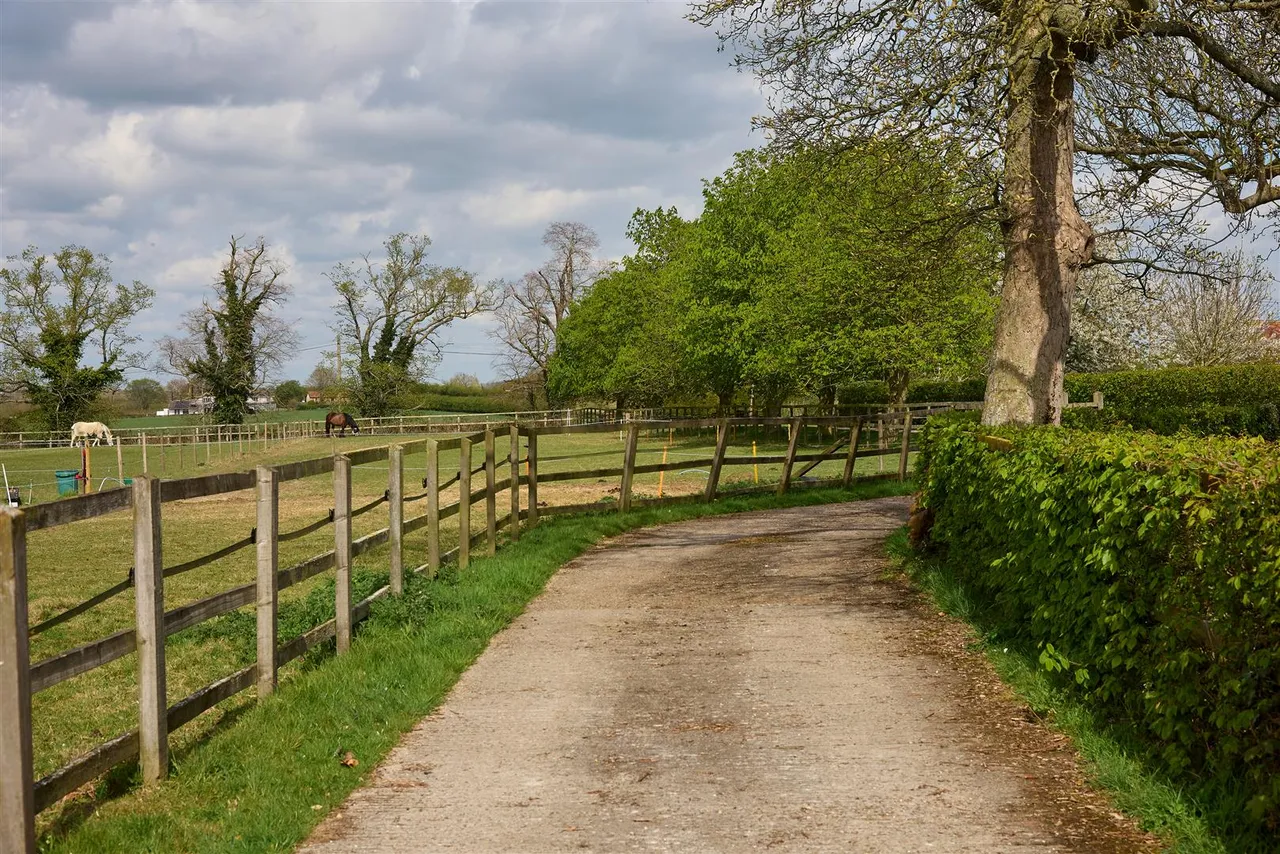 Cranley Road, Eye, IP23, photo 14