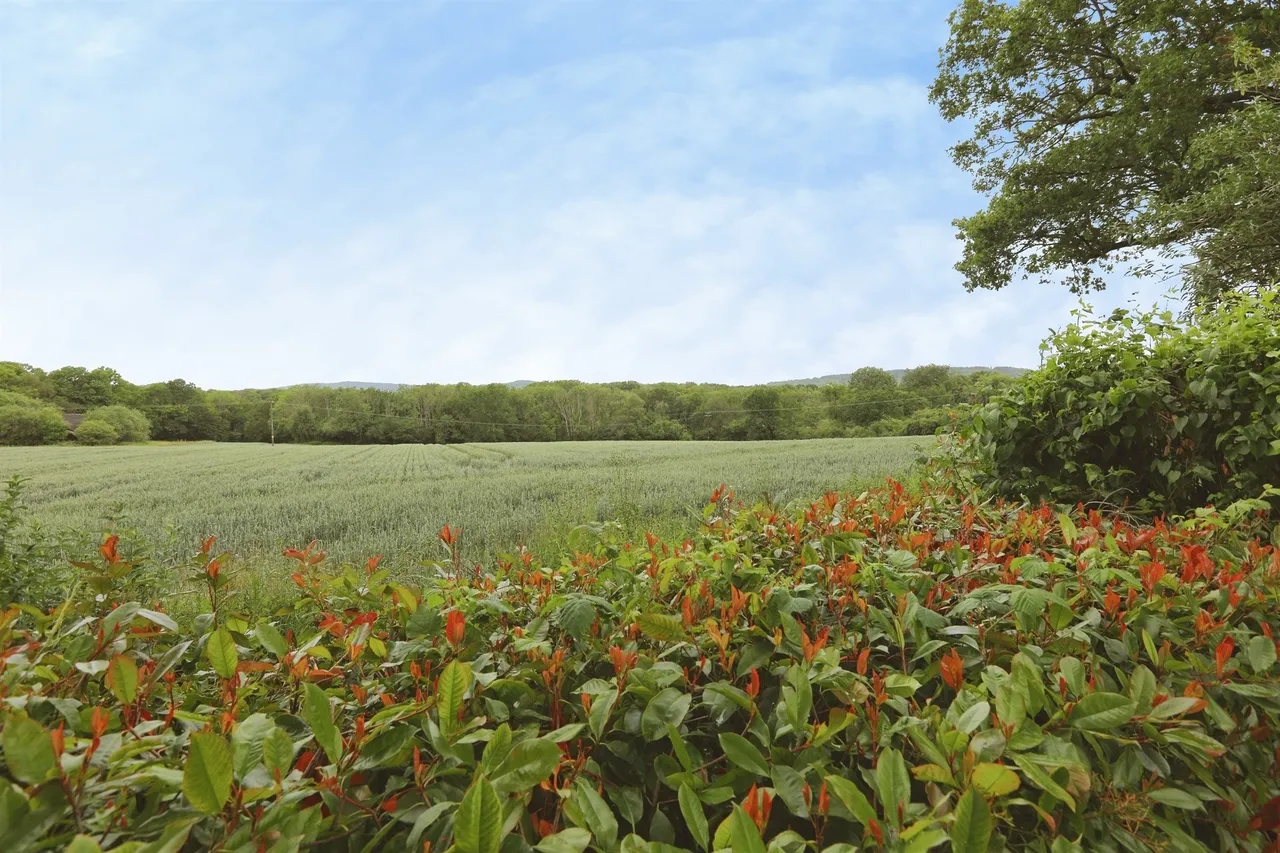 Elmers Road, Ockley, RH5, photo 20