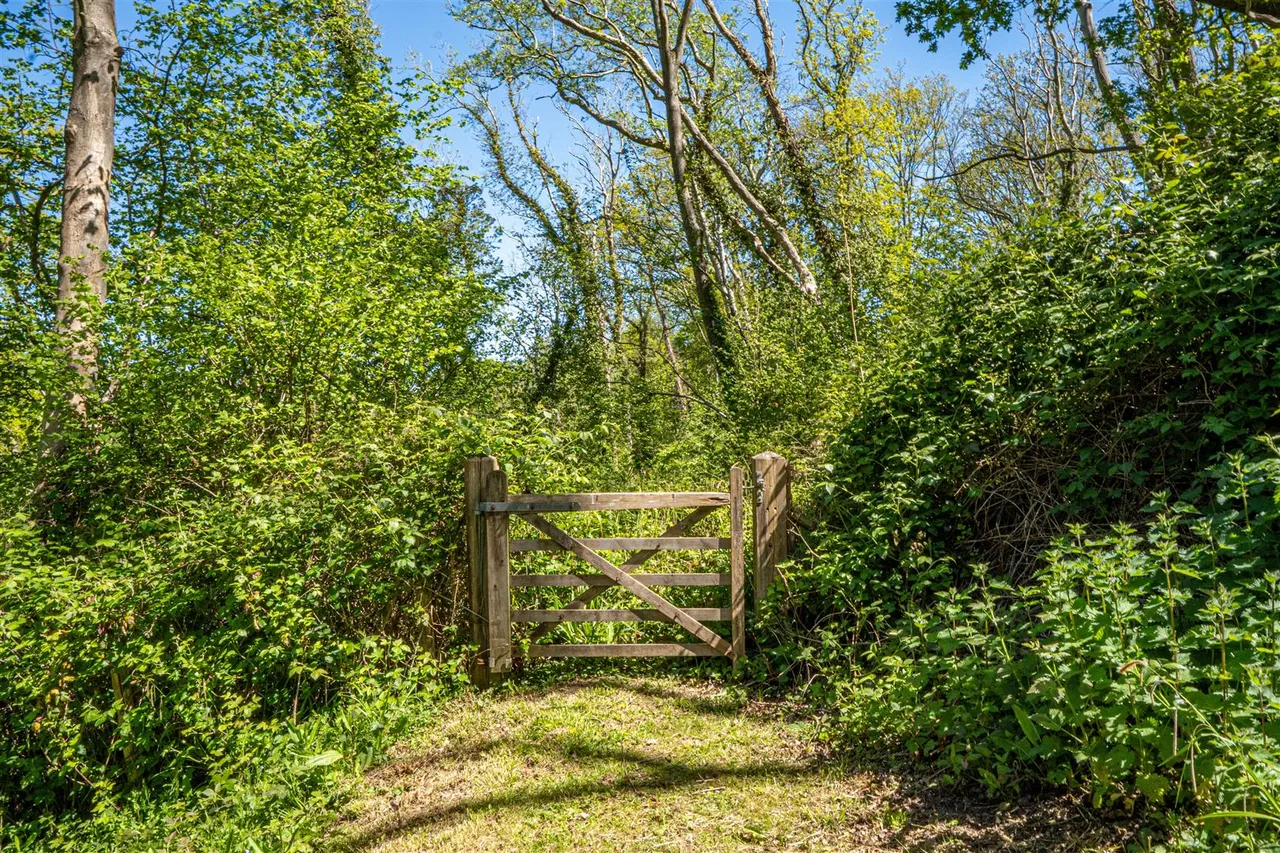 Baldslow Down, Hastings, photo 48
